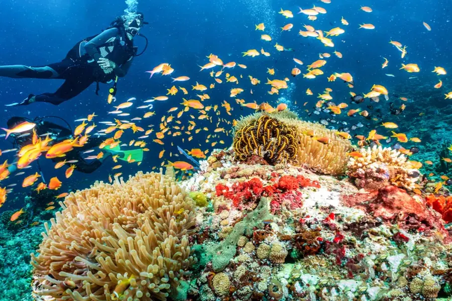 Scuba diving excursion in Diani
